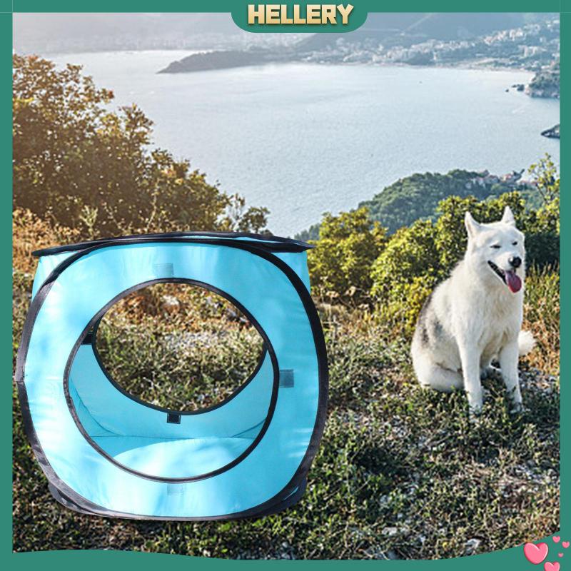 Lều Đường Hầm Gấp Gọn Vui Nhộn Cho Thú Cưng Nhỏ