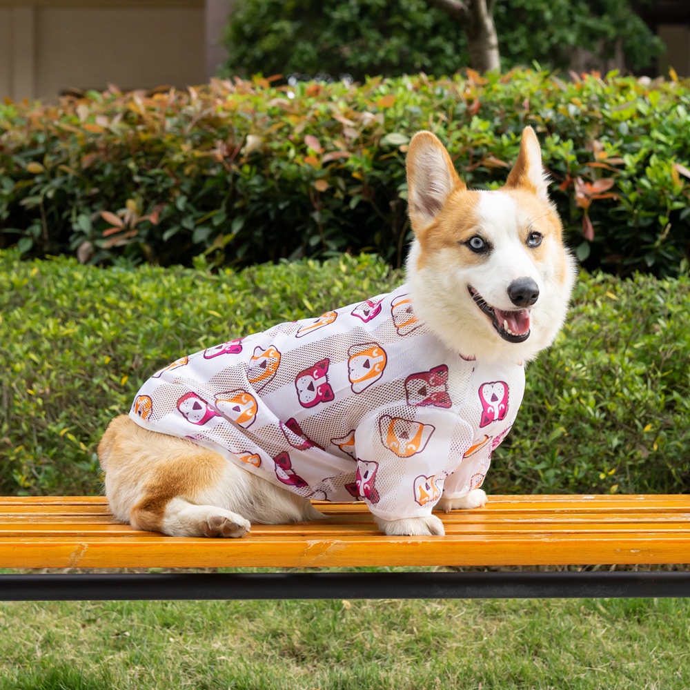 Áo Thun Mùa Hè Thời Trang Cho Thú Cưng Size XL-9XL