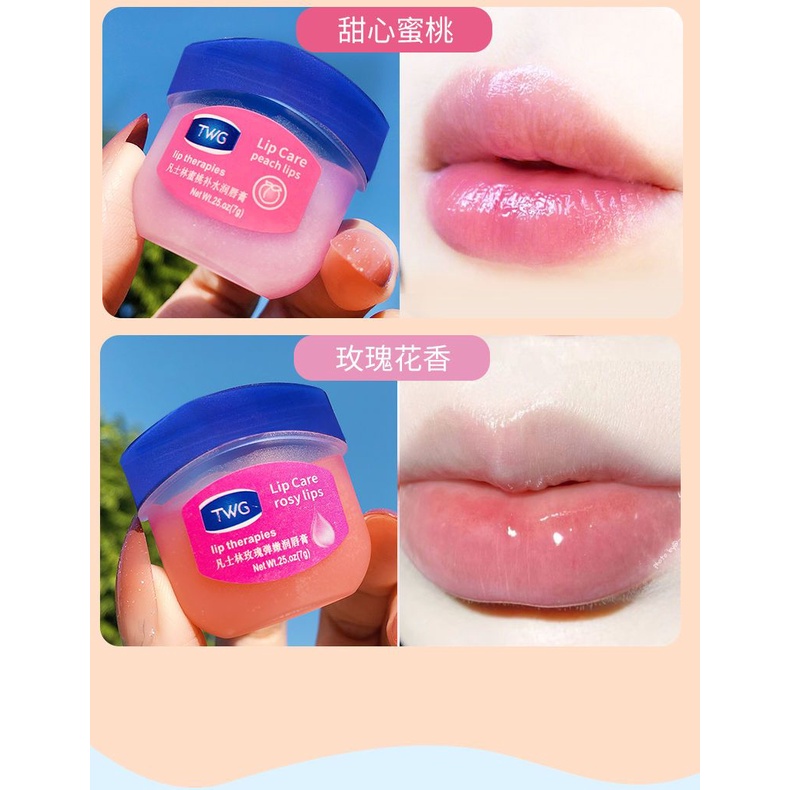 Son Dưỡng Ẩm Vaseline Tẩy Tế Bào Chết Làm Mờ Vân Môi/Dưỡng môi VANCILIN 7g dạng hũ LOẠI RẺ cho KHÁCH SỈ đủ vị  Sáp Son Dưỡng Môi VANCILIN