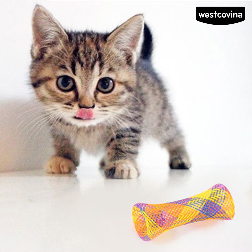 [COD]♞Set 5 / 10 Đồ Chơi Lò Xo Cho Mèo Cưng