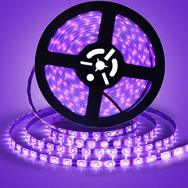 Dây Đèn LED SMD 2835 RGB 12V 5M Ánh Sáng Đơn Sắc Chống Nước Trang Trí Nhà Cửa