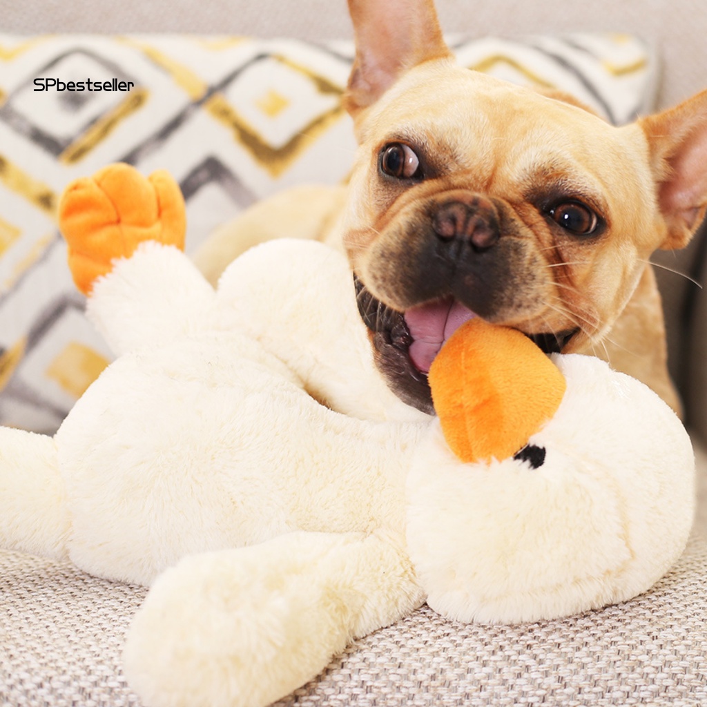 Thú Nhồi Bông Màu Sắc Tươi Sáng Linh Hoạt Cho Thú Cưng