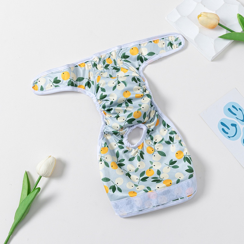 Quần sinh lý cho chó in dễ thương cho nữ quần đùi cho chó con đồ lót cho chó có thể giặt được tã lót cho thú cưng