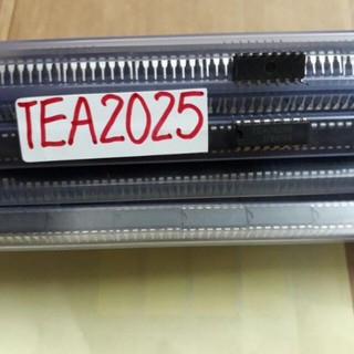 Hot!!! 10 con tea2025