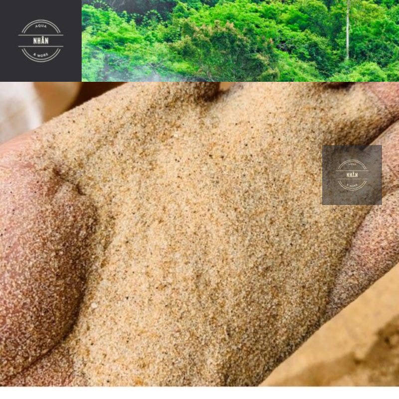 200Gr Cát Thủy Sinh Dùng Trải Nền Trang Trí Bể Cá, Thủy Sinh, Tiểu Cảnh Terrarium - Giao hàng siêu nhanh