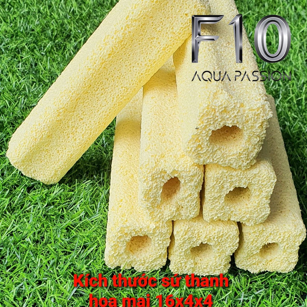 Sứ lọc Sứ thanh Sứ thanh hoa mai vàng vật liệu lọc bể cá kich thước 16x4x4 - Shop chuyên sỉ phụ kiện thủy sinh