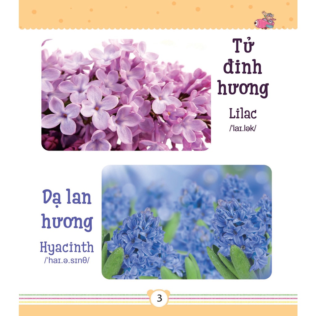 Sách – Từ Điển Bằng Tranh Dành Cho Trẻ Em - Các Loài Hoa (DTI)