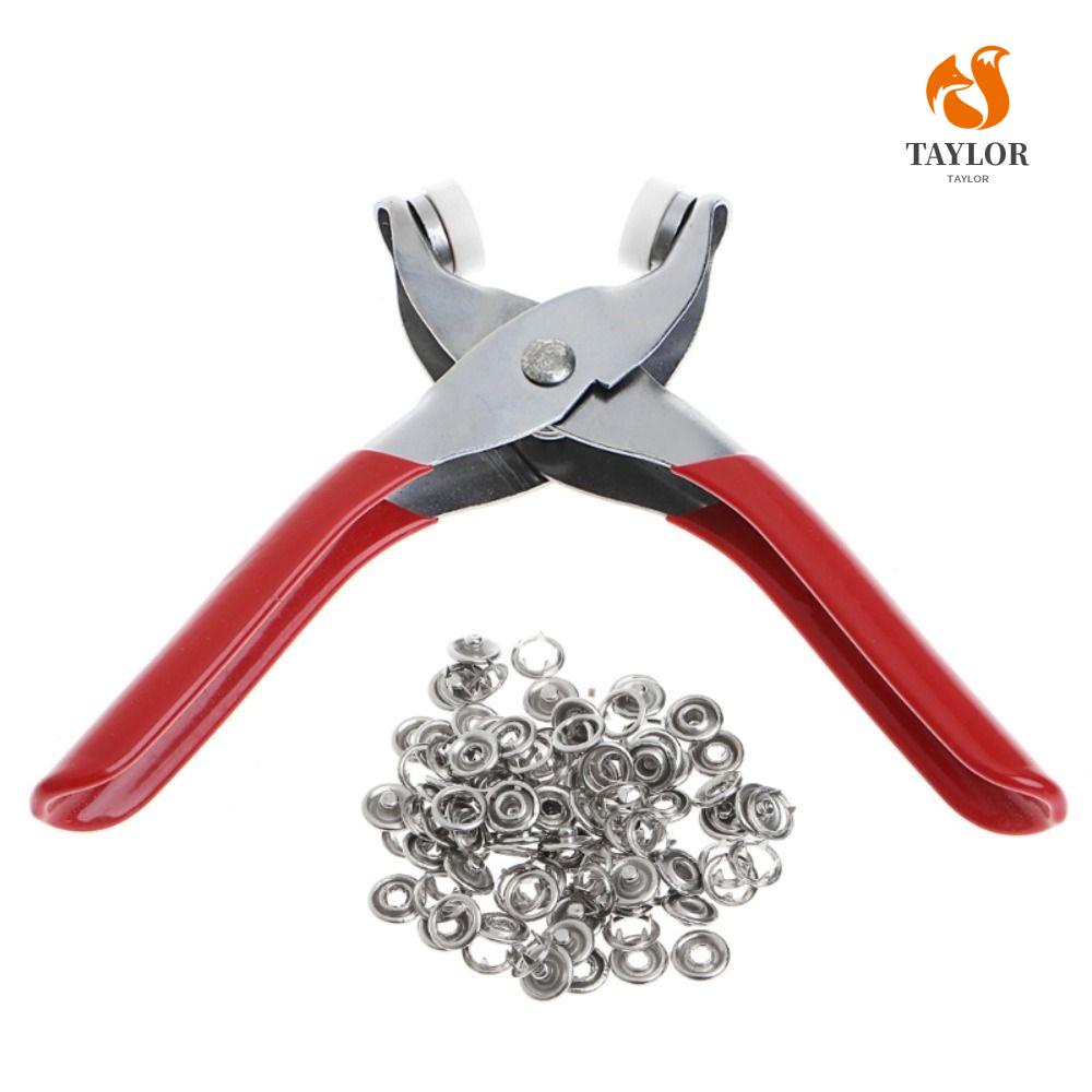 Kìm Kẹp Đinh Tán TAYLOR1 Chuyên Dụng Chất Lượng Cao