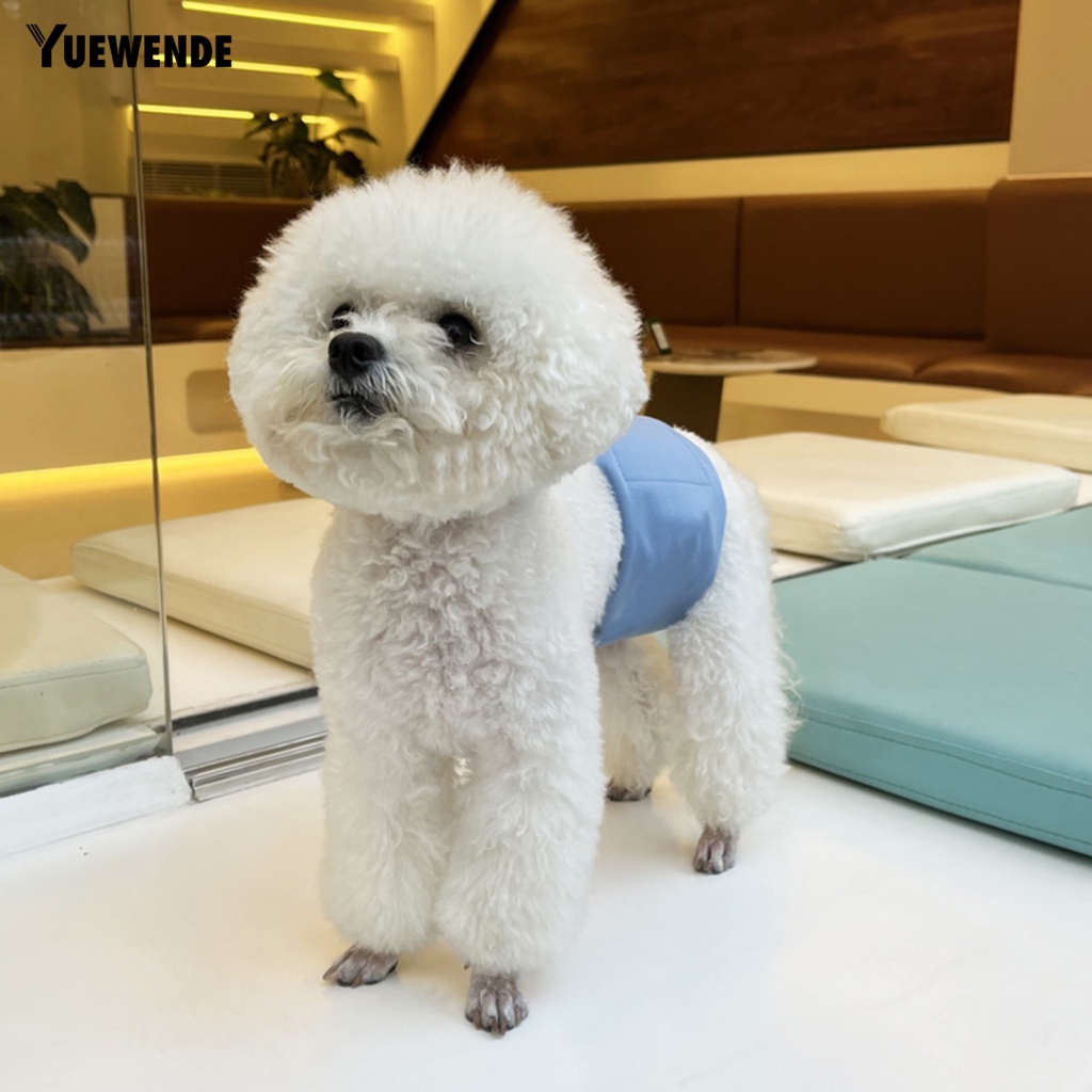 Quần Lót Sinh Lý Chống Tràn Không Phai Màu Cho Thú Cưng