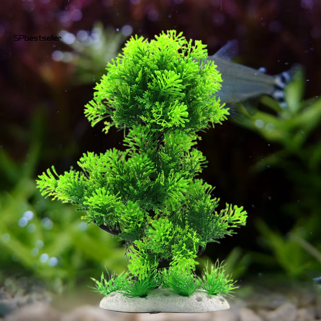 Cây Cảnh Nhân Tạo Bằng Nhựa Không Mùi Dùng Trang Trí Hồ Cá