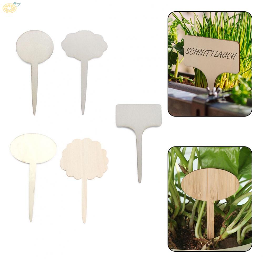 【VARSTR】Plant Labels Herbs Tools Important Markers Price Shop Wood Sign 10pcs Bamboo