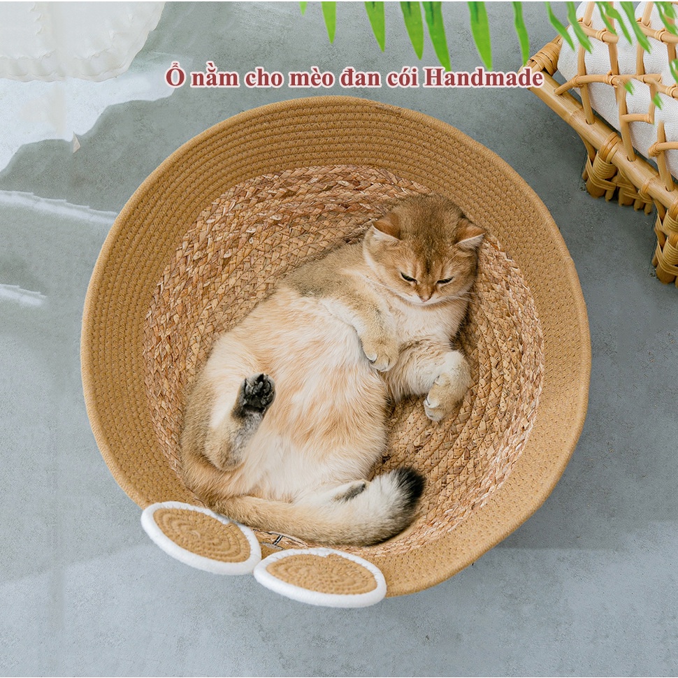 Ổ nằm cho mèo cói mây đan tay Handmade kèm thảm màu gấu nâu cực sịn tích hợp cào móng