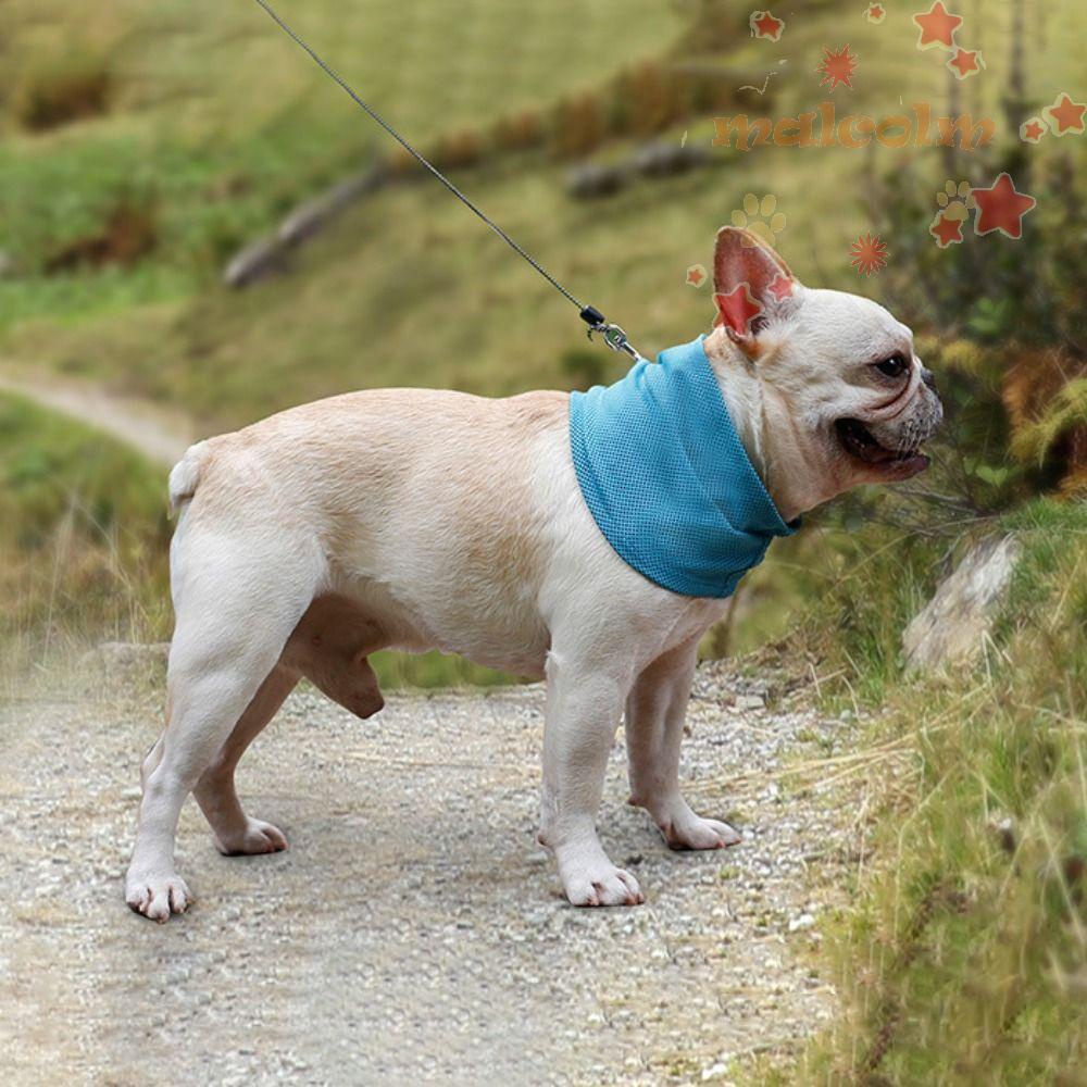 Vòng Cổ Làm Mát Tức Thì Malcom Thoáng Khí Chống Muỗi Thoáng Khí Thoải Mái Có Thể Tái Sử Dụng