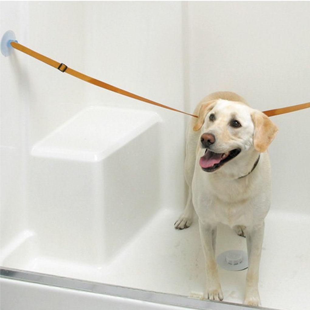 Set 2 Dây Tắm Cho Thú Cưng