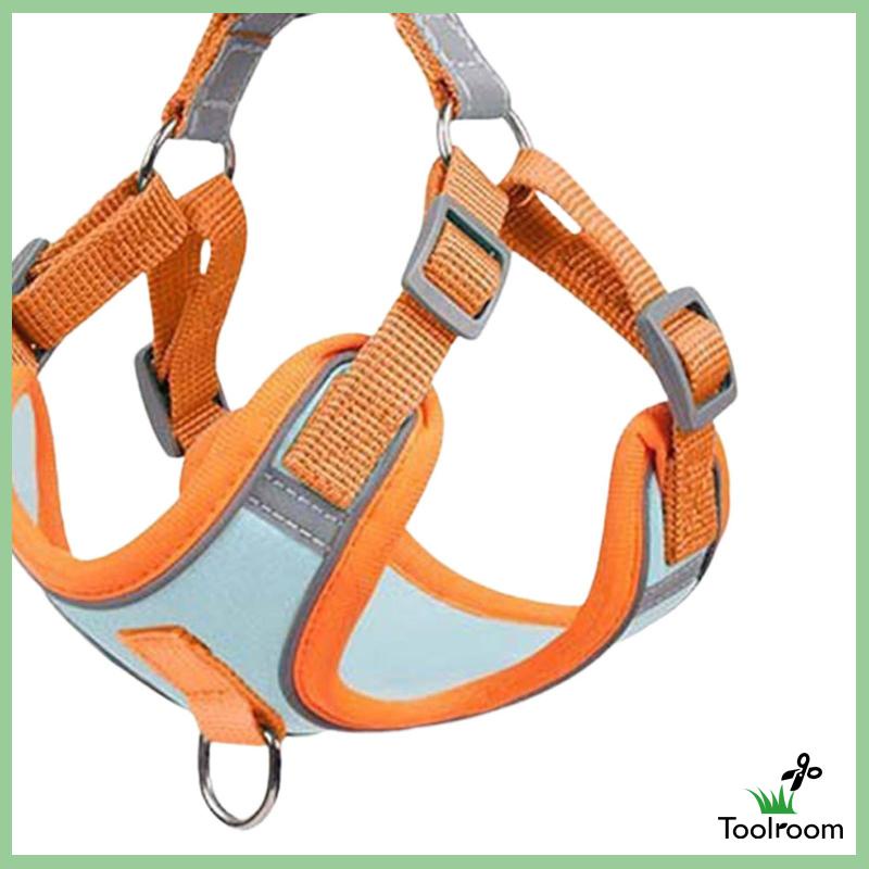 Đai Dắt Chó Đi Dạo Trọng Lượng Nhẹ Mềm Mại Tiện Dụng