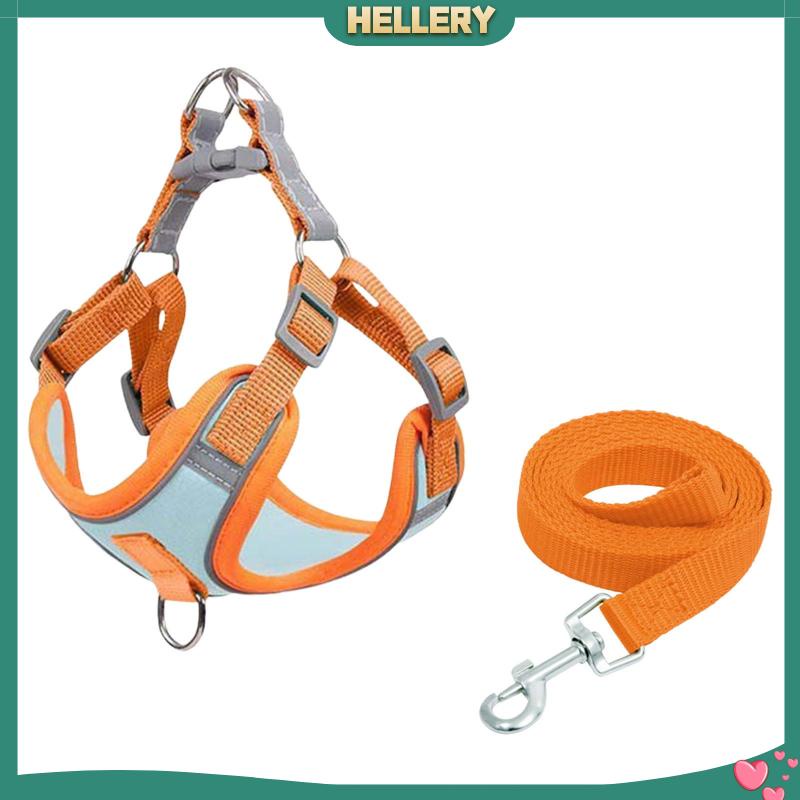 Đai Dắt Thú Cưng Đi Dạo Mềm Mại Trọng Lượng Nhẹ