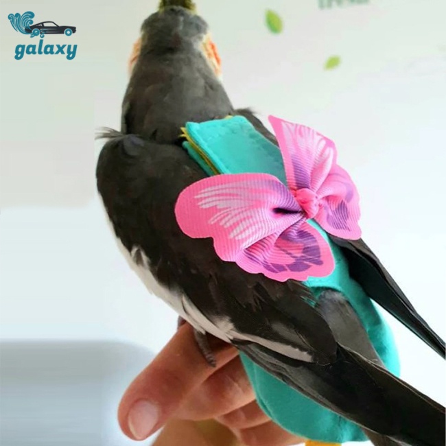 Galaxy Tã Lót Kèm Dây Dắt Cho Vẹt Cưng Cỡ Nhỏ / Vừa / Nhỏ Tiện Dụng