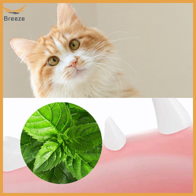 Quả Bóng Bạc Hà Tự Dính Hình Rùa Dễ Thương Cho Mèo Cưng