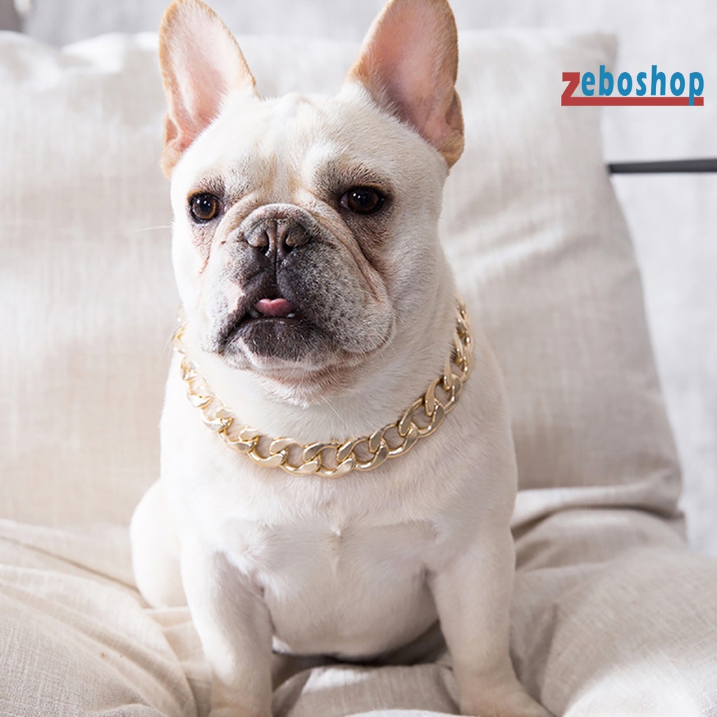 Vòng Cổ Bằng Nhựa Có Thể Điều Chỉnh Dành Cho Chó Pitbull