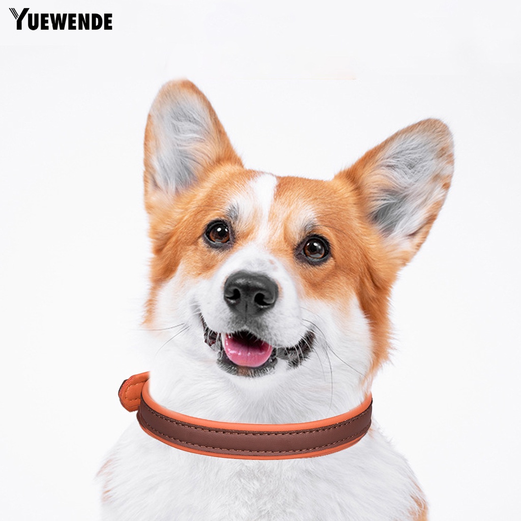 Vòng Cổ Chống Thất Lạc Màu Sắc Tương Phản Tùy Chỉnh Kích Thước Cho Thú Cưng