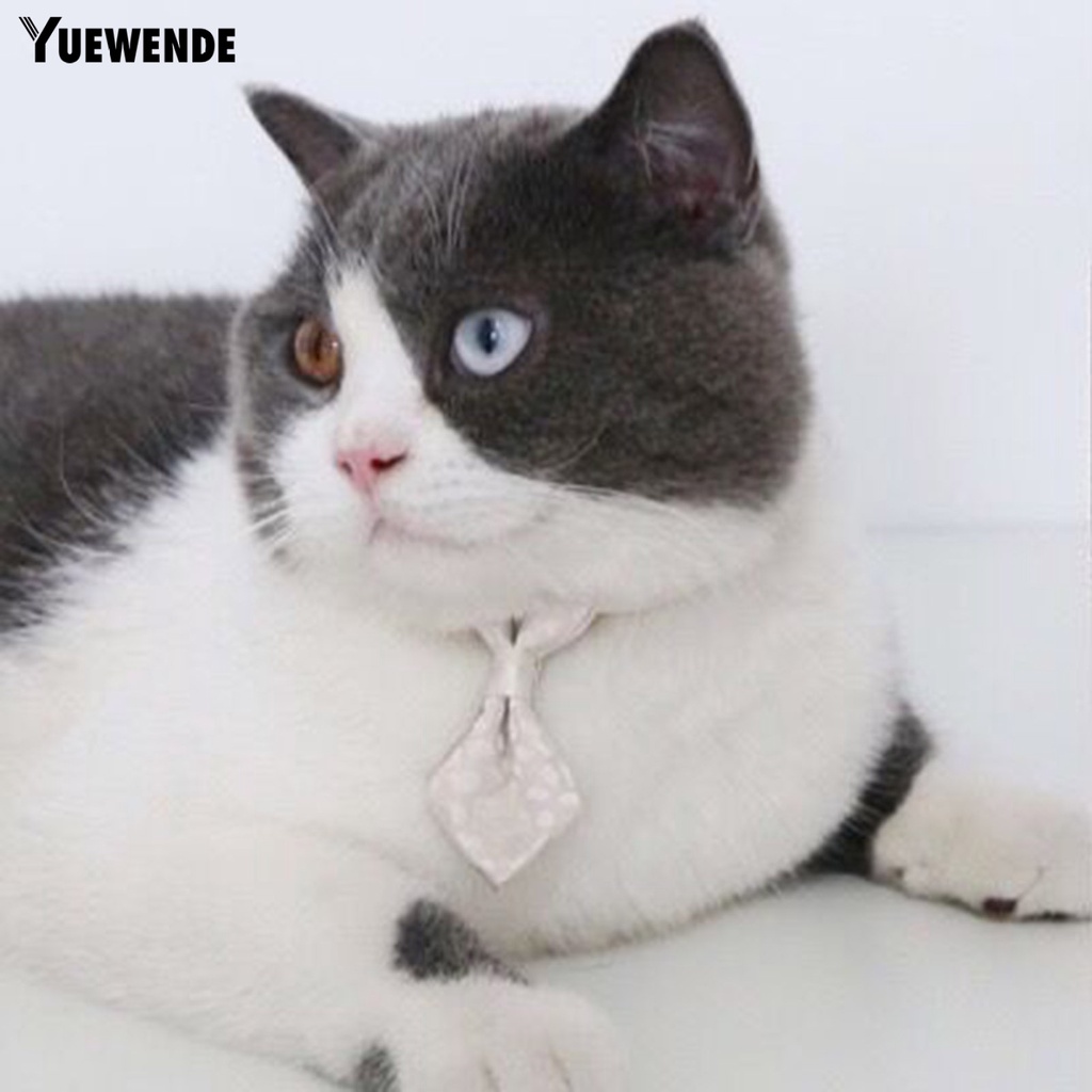 Vòng Cổ Họa Tiết Da Báo Cho Thú Cưng