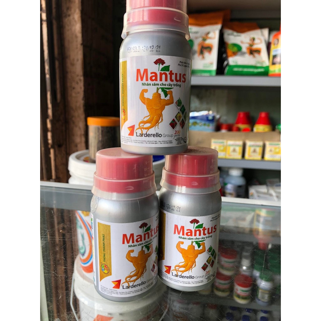 Mantus - Nhân Sâm Cây Trồng (Kỹ sư Thái - Giải Pháp Nông Nghiệp) (được kiểm tra hàng trước 360 cobay )