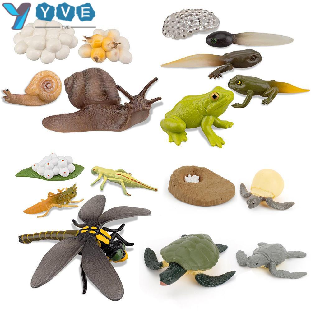 YVE Mô Hình Chuồn Chuồn Đồ Chơi Giáo Dục Cho Bé