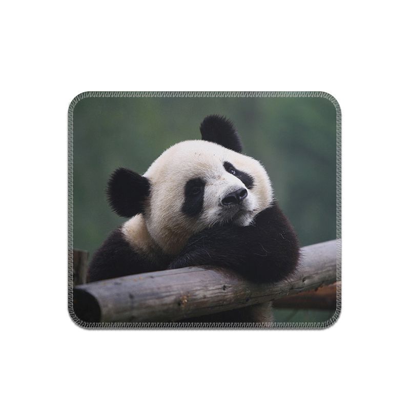 Tấm Lót Chuột Máy Tính Laptop Dày Chống Trượt Hình Gấu Trúc Dễ Thương