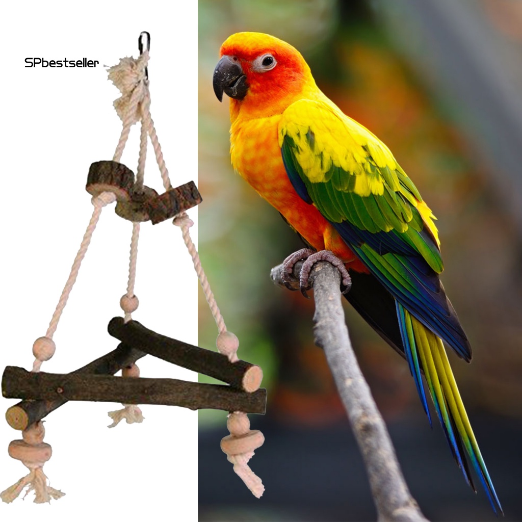 Đồ Chơi Khung Đứng Bằng Gỗ Cho Chim Vẹt