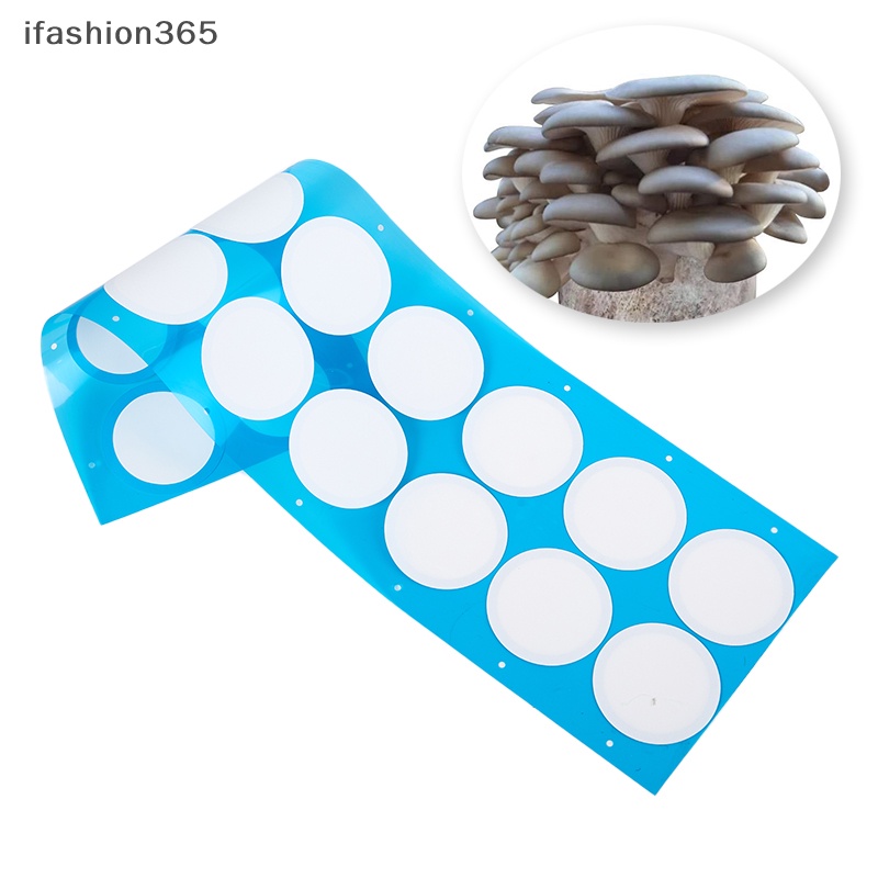 Set 12 / 16 Tấm Lọc Bằng Giấy Tổng Hợp Hình Nấm VN