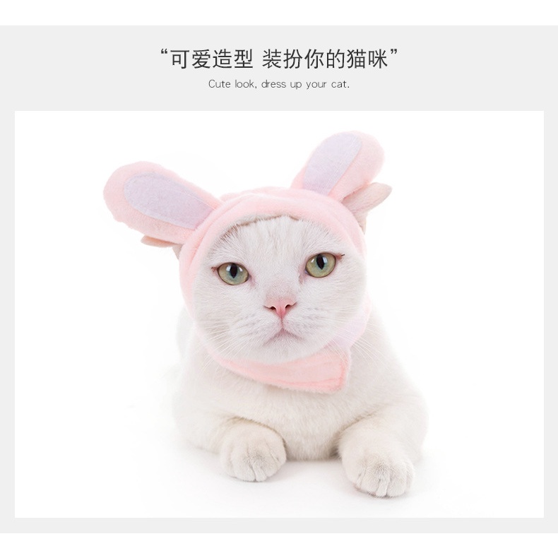 Mũ Đội Đầu Họa Tiết Hoạt Hình Dễ Thương Dành Cho Thú Cưng