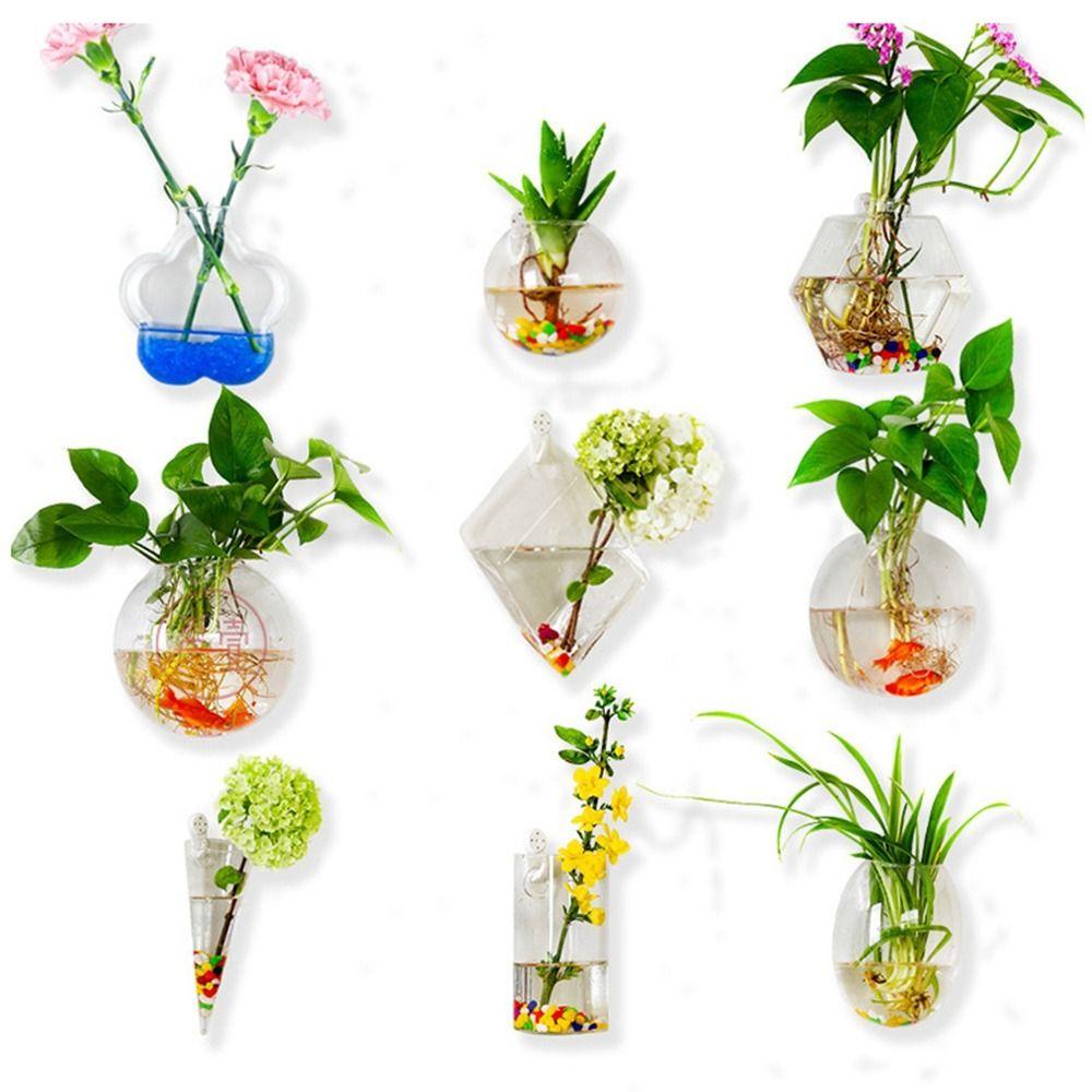 SJJL Chậu Kính Trồng Cây Thủy Canh Treo Tường Đa Năng Sáng Tạo
