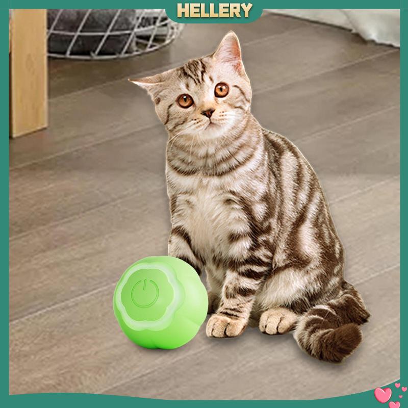 Đồ Chơi Tương Tác Với Mèo Có Đèn LED Độc Đáo