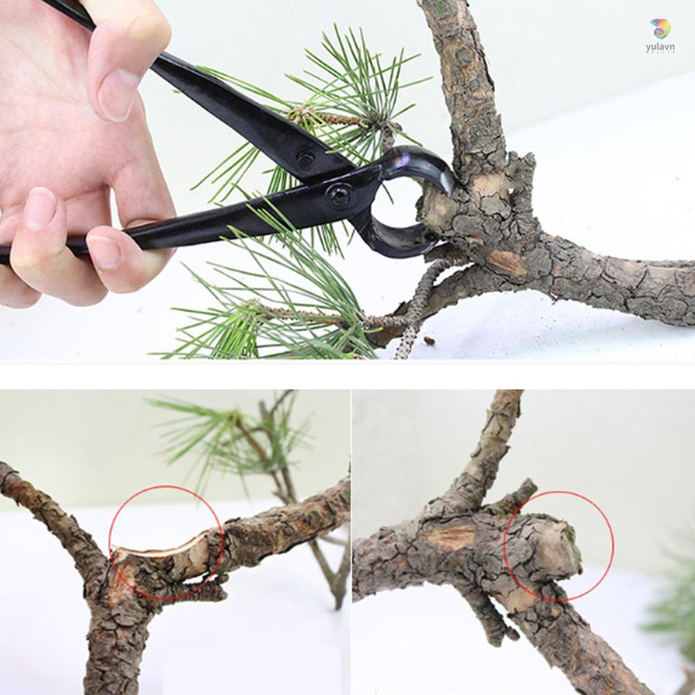 Kìm Cắt Cây Tròn Chuyên Nghiệp Tiện Dụng