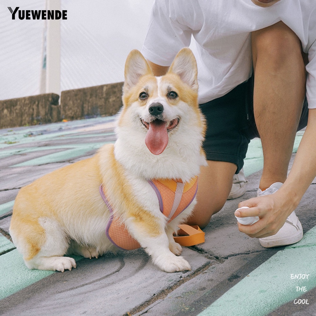 Dây Dắt Thú Cưng Đi Dạo Chống Cắn Màu Sắc Tươi Sáng