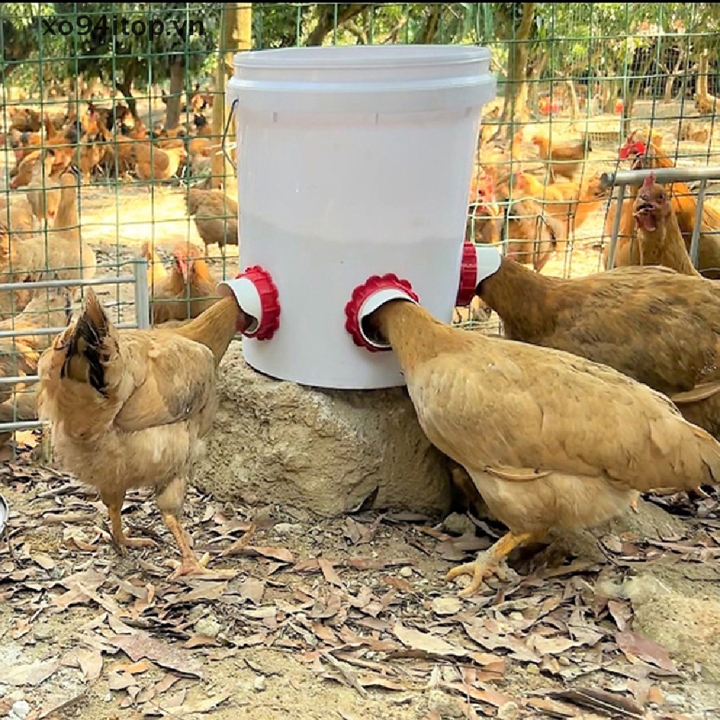 Dụng Cụ Cho Gà Ăn Bằng Nhựa Tiện Dụng