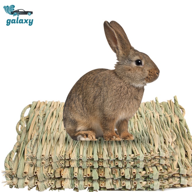 Galaxy Thảm Cỏ Đan Thủ Công Tự Nhiên Cho Hamster / Thỏ / Vẹt
