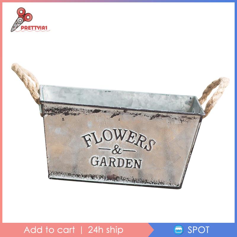 [Prettyia1] Chậu Cây Bằng Sắt Cổ Điển, Chậu Cây Mọng Nước