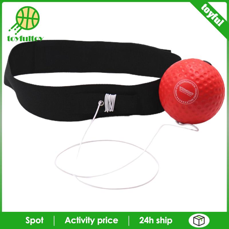 Bóng Luyện Tập Đấm Bốc Chuyên Dụng Chất Lượng Cao