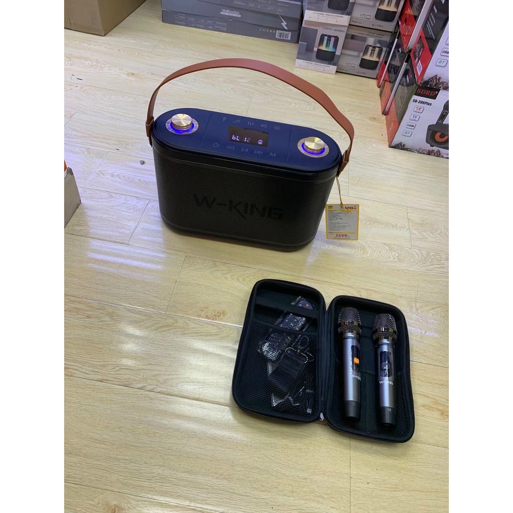 Loa Karaoke Xách Tay W-King T10/H10/– Công Suất 120W tặng kèm 2 míc/H10S