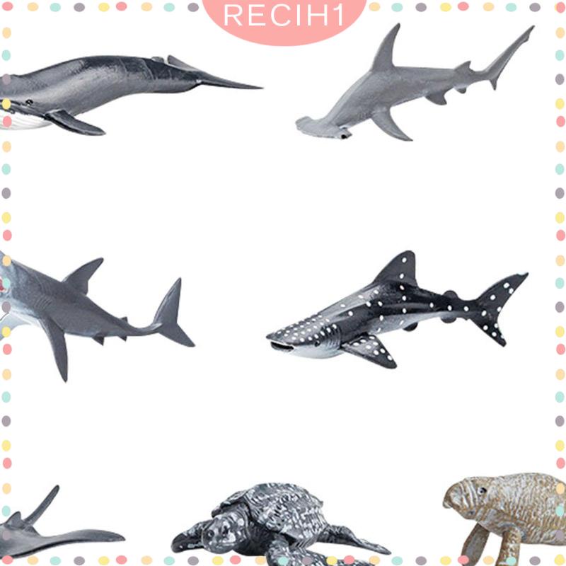 Set 13 Mô Hình Động Vật Dưới Biển Cho Bể Cá 5 6 7 8 Tuổi