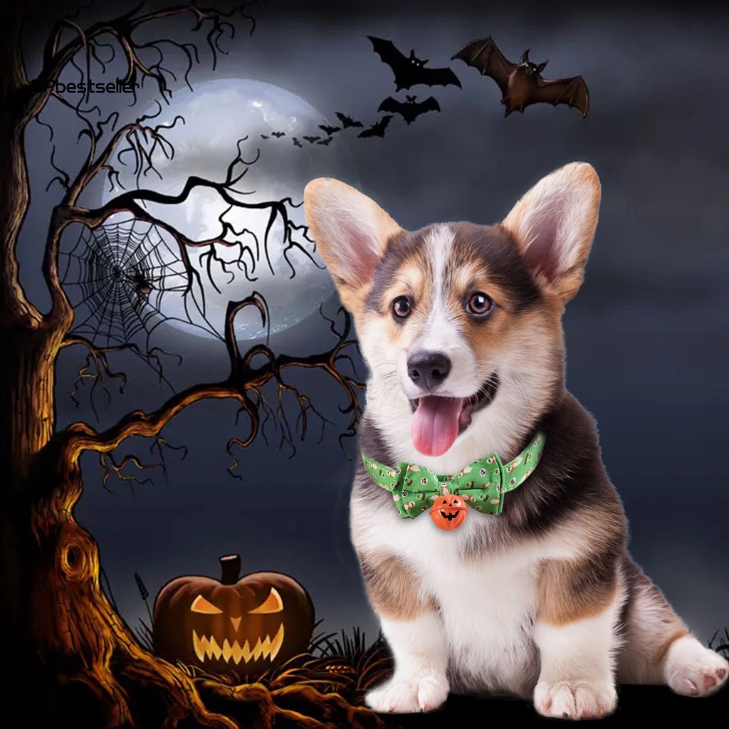 Vòng Cổ Tháo Lắp Nhanh Có Chuông &amp; Quả Bí Ngô Cho Thú Cưng