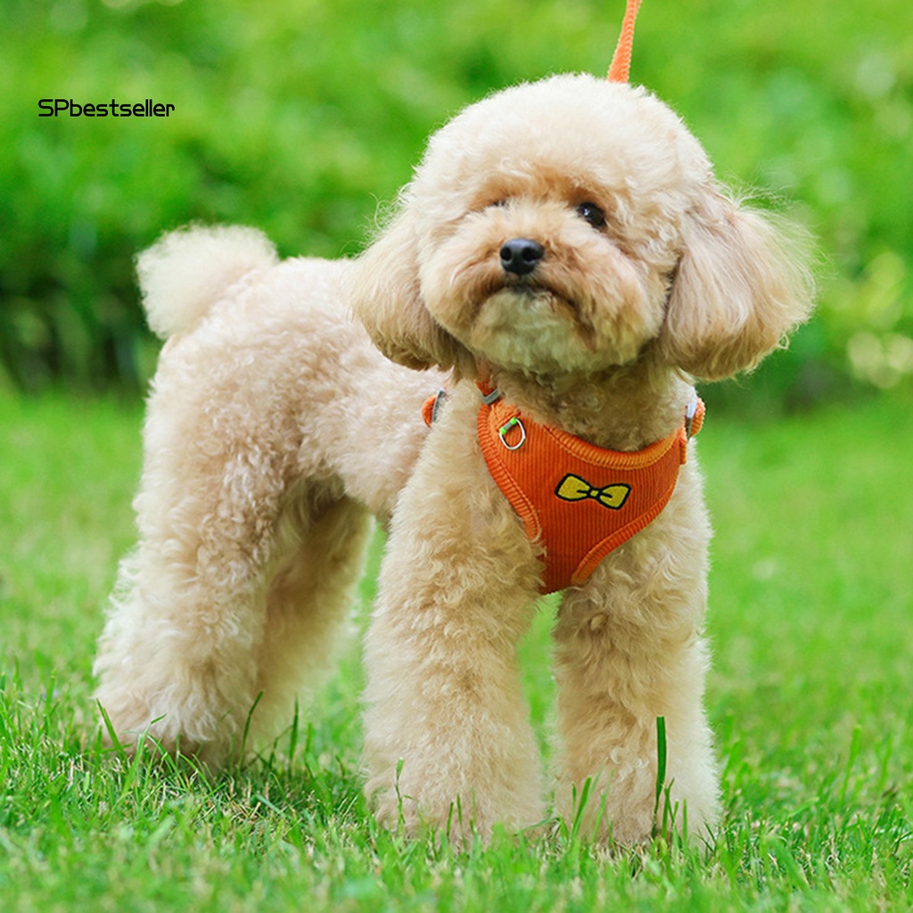Dây Dắt Thú Cưng Đi Dạo Kẻ Sọc Phản Quang Đính Nơ Xinh Xắn
