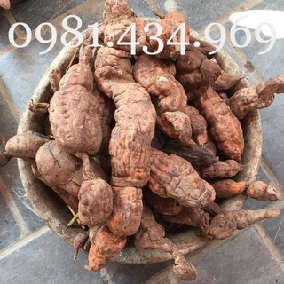 Củ hà thủ ô 01kg mới
