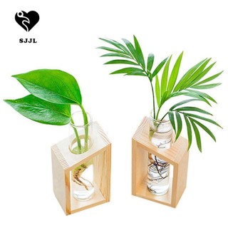 Chậu kính trồng cây thủy canh để bàn trang trí tiệc cưới