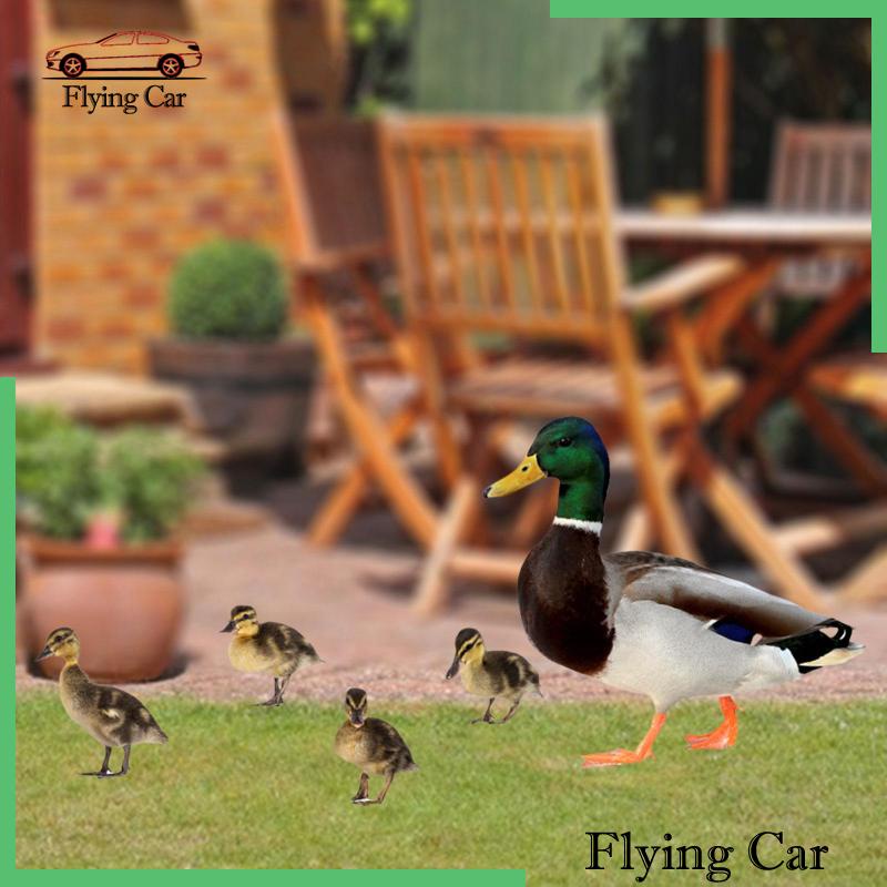 Set 2 Bức Tượng Vịt Phẳng Điêu Khắc Trang Trí Lễ Phục Sinh