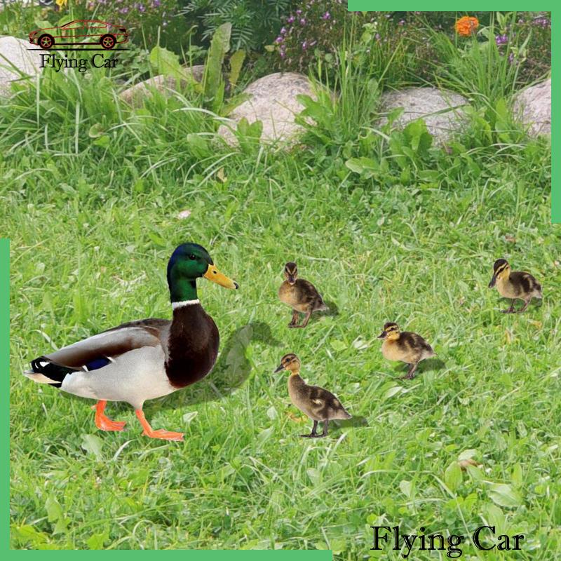 Set 2 Bức Tượng Vịt Phẳng Điêu Khắc Trang Trí Lễ Phục Sinh