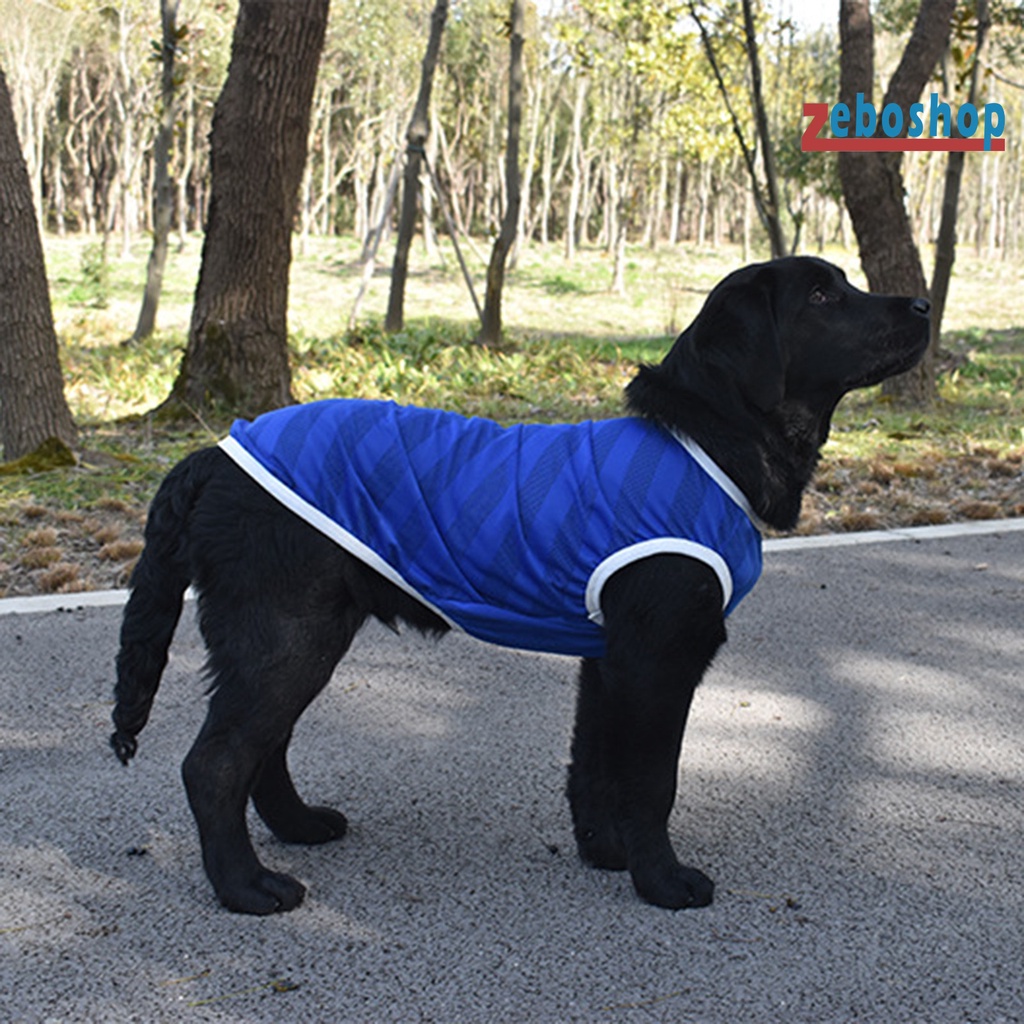 Áo Thun Thể Thao Dạng Lưới Thoáng Khí Cổ Tròn Dành Cho Cún Cưng