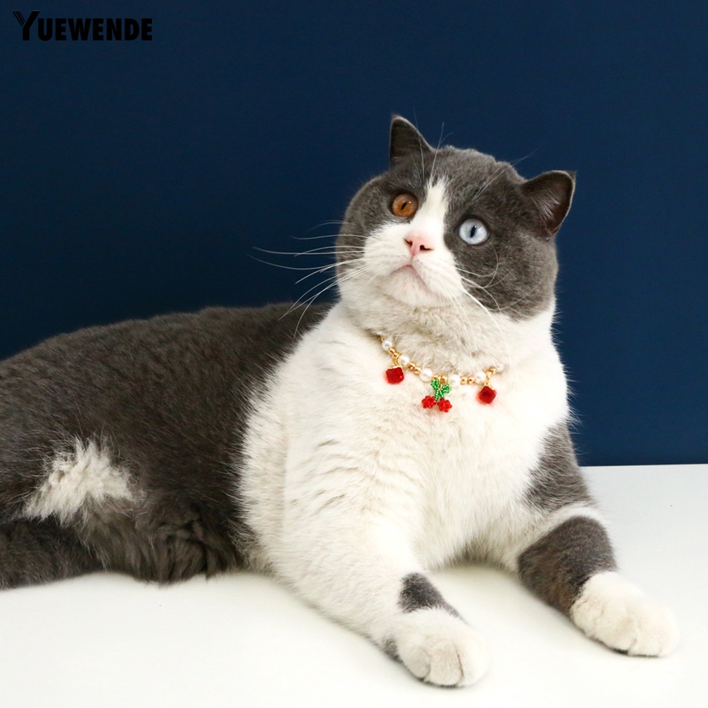 Vòng Cổ Đính Ngọc Trai Nhân Tạo Thời Trang Dành Cho Thú Cưng