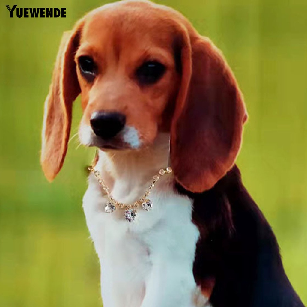 Vòng cổ Đính Đá Giả 3 Màu Thời Trang Dành Cho Thú Cưng